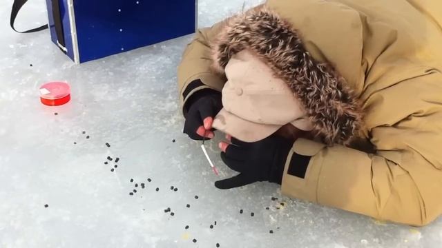 Шведский метод зимней ловли рыбы. смотреть онлайн