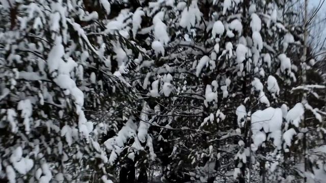 Русские сугробы в деревне и снежные леса смотреть онлайн