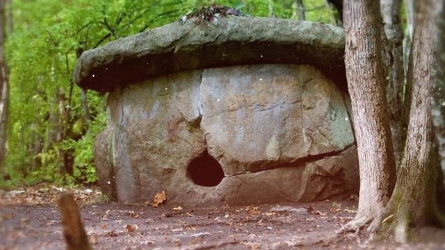 78 регион Краснодарский край