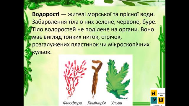 Урок 33 ОРГАНІЗМИ — ТІЛА ЖИВОЇ ПРИРОДИ. ЯДС 3 клас автор підручника І.Жаркова