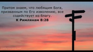 25.06.2023 Любящим Бога,призванным по Его изволению,все содействует ко благу #благо#любящиеБога