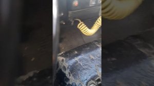 КПП КАМАЗ с делителем. Коробка переключения передач.