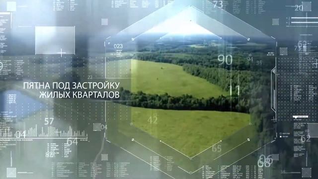 Российский аукционный дом