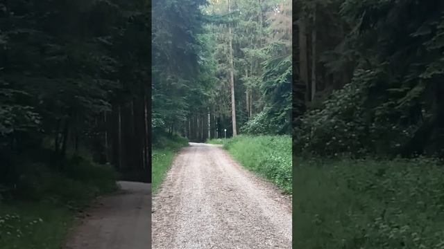 iphone X 4k 24fps maxZoom | SONY | CX405 смотреть онлайн