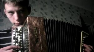 Вальс мой ласковый и нежный зверь на баяне!