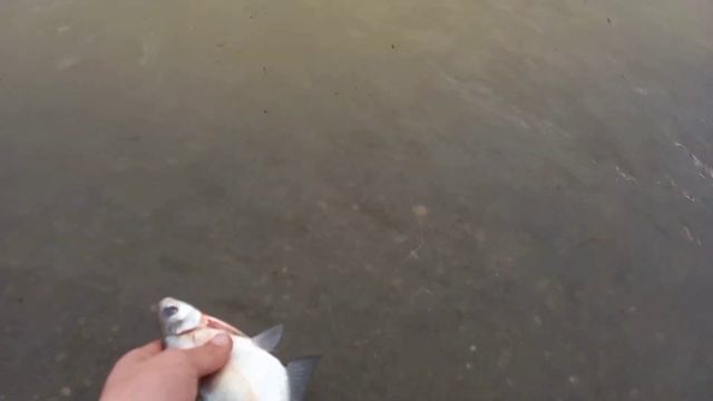 Партизанское водохранилище. Экстремальная рыбалка в ураган. смотреть онлайн