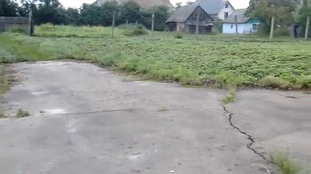 Продам участок 40соток с.Буки Жит.обл.6000$ смотреть онлайн