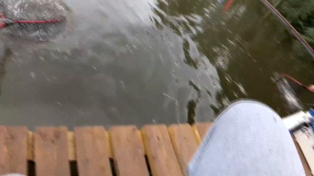 Это реально !?Ловля форелели на БЛЁСНЫ. КАК РЕЗИНОЙ ! смотреть онлайн