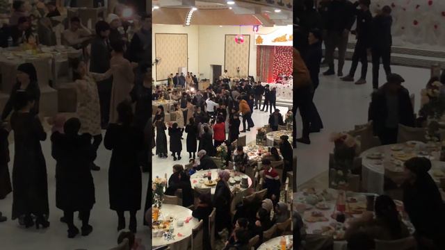 ПИТНАК ТУЙ 5.01.2023 смотреть онлайн