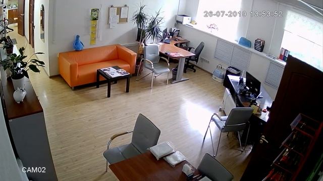 Камера AVC-9101G дневная съемка в офисе