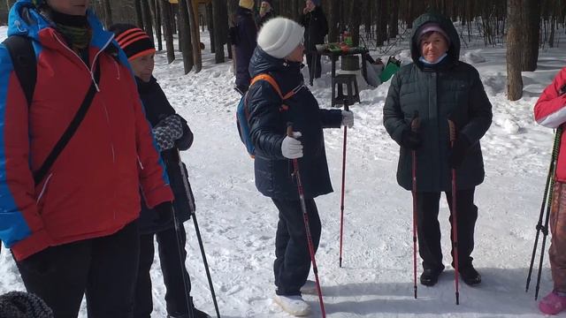 День леса смотреть онлайн