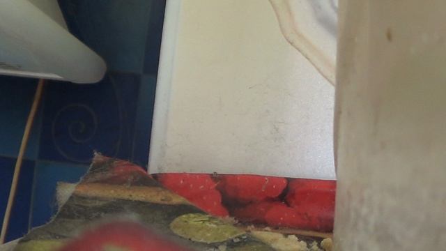 M2U01402 смотреть онлайн