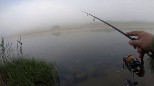 Много окуня на ультралайт!!! Монтаж джиг-риг, дроп-шот. РОЗЫГРЫШ!!!