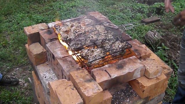 Альтернативный источник энергии. Ядерная курица. смотреть онлайн