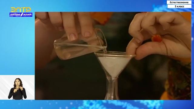 5-класс | Естествознание | Химические элементы. Простые вещества. Соединения веществ смотреть онлайн
