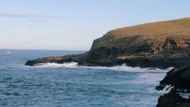 DUNEDIN ULTIMATE TRAVEL GUIDE /// NEW ZEALAND TRAVEL VLOG
