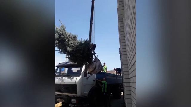 Манипулятор Харьков: доставка крупномеров смотреть онлайн