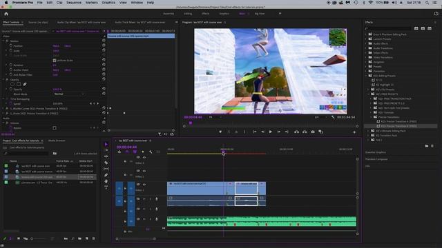 How to Make Precice And Penguin's NEW TRANSITION (FREE PRESETS) смотреть онлайн