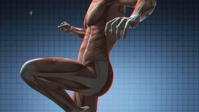 3 Вещи которые Нельзя делать Перед Тренировкой смотреть онлайн