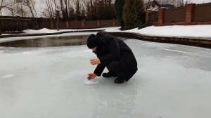 КОРМЛЕНИЕ ОСЕТРА в своем пруду. Часть 2