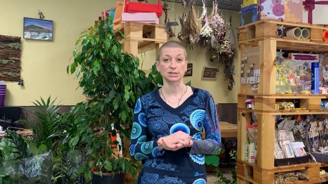 Домашние джунгли | Дома есть цветы, но вы не знакомы с каждым из них - зовите меня на зеленое ТО смотреть онлайн