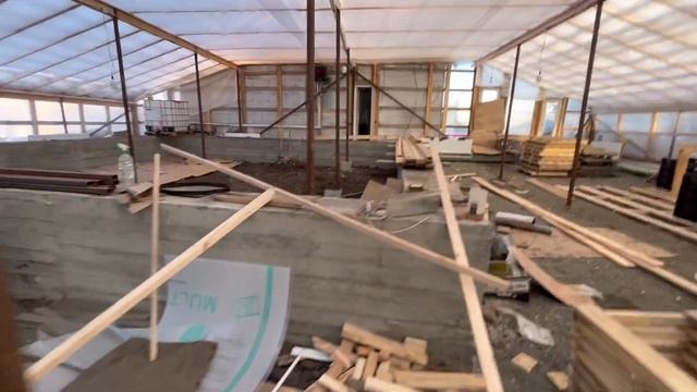 Выгонка тюльпанов. 300 тыс. Первый опыт смотреть онлайн