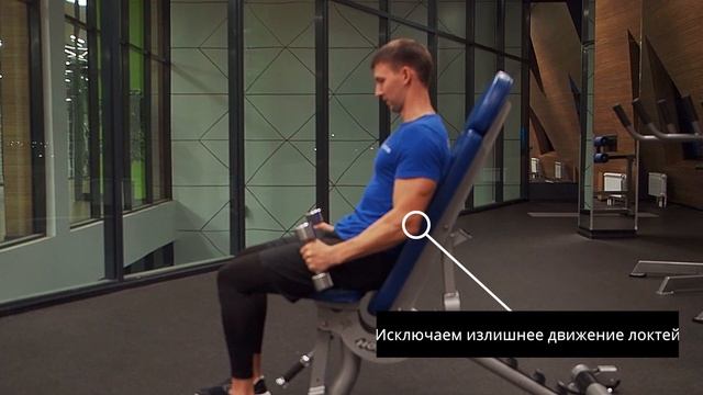 сгибание рук сидя с гантелями хват молот на скамье 60 градусов смотреть онлайн