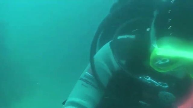 Laguna Dive 2010 WebV1 смотреть онлайн