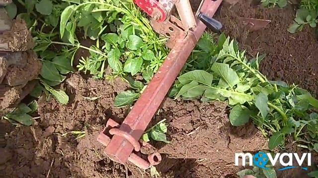 3 окучивание на 16 резине. смотреть онлайн
