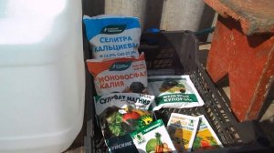 Подкормка земляники через капельный полив, в период цветения и завязывания плодов.