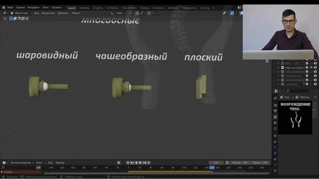 Типы суставов по их форме. 3 часть, многоосные. смотреть онлайн