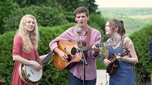 Wild Mountain Thyme - The Petersens (LIVE) смотреть онлайн