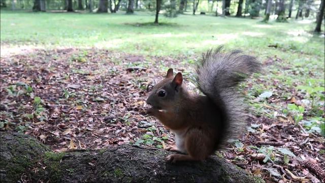 В том же месте, в тот же час ... смотреть онлайн