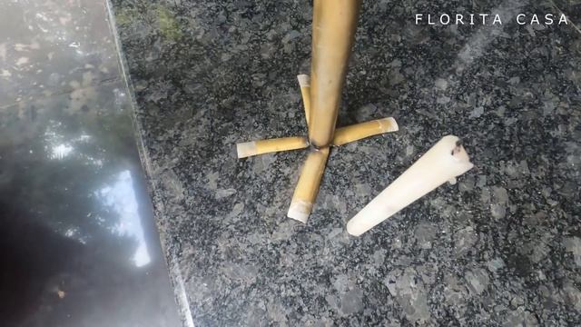 Big Money | Zero Cost Plant Hunting | Epipremnum Aureum | Pothos Potting | Florita Casa смотреть онлайн