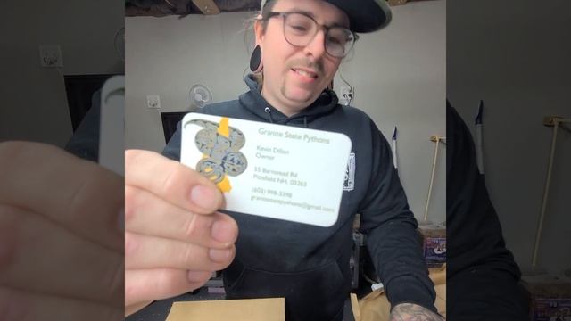 Kinova Reptiles & Granite State Pythons ball python unboxing! смотреть онлайн