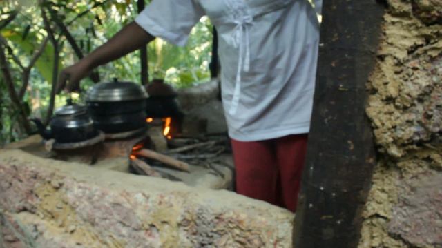 පොකුරු වදමල් රසය flavours of hibiscus смотреть онлайн