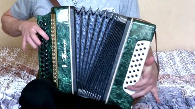 Сектор газа - Пора домой на гармони смотреть онлайн