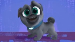 Дружные Мопсы Бинго И Ролли Клип Патамушка ???