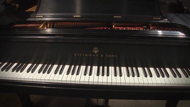 Steinway Model B 7' Semi-Concert Grand Piano (#496941) смотреть онлайн