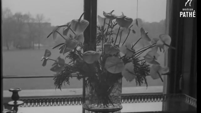 The Royal Family at the Christening Of Princess Anne (1950) | British Pathé смотреть онлайн