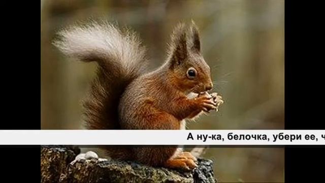 Самая красивая смотреть онлайн