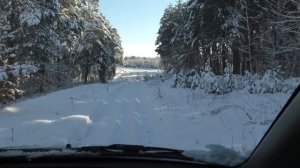 На машине по снежному лесу.