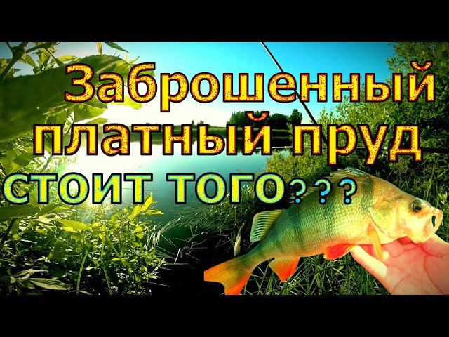 Заброшенный платный пруд в московской области смотреть онлайн