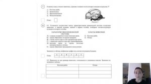 РАЗБОР ВПР по биологии 2020 8 класс