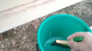 Отбеливатель для древесины ЗЕЛЕСТ против БЕЛИЗНЫ.