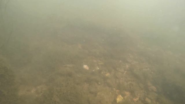 Окуньки в реке Тобол. смотреть онлайн