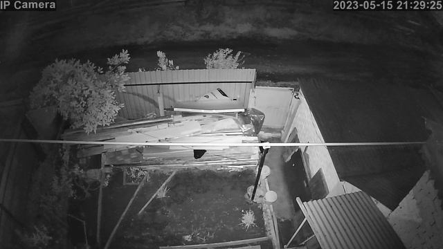 Вот такие соседи на ул.Пионерской в г.Зеленодольске Республики Татарстан. Оборвали сирень у калитки смотреть онлайн