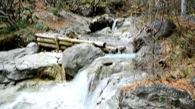 DSC_4246 смотреть онлайн