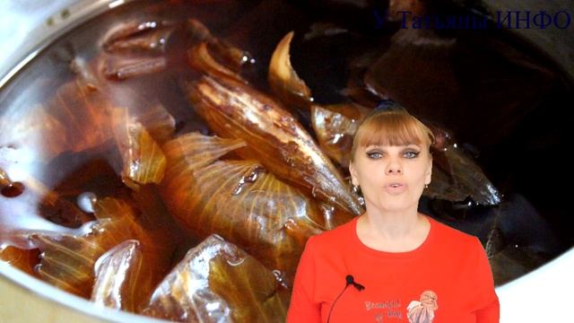 Не вздумай выбрасывать ЛУКОВУЮ ШЕЛУХУ! Твои КОМНАТНЫЕ РАСТЕНИЯ будут в ШОКЕ от такой ПОДКОРМКИ!!! смотреть онлайн
