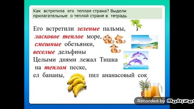 2 класс История о путешествии пингвина Тишки смотреть онлайн